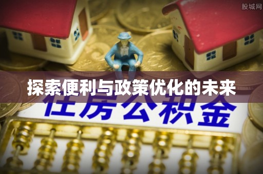 博罗探索便利与政策优化的未来
