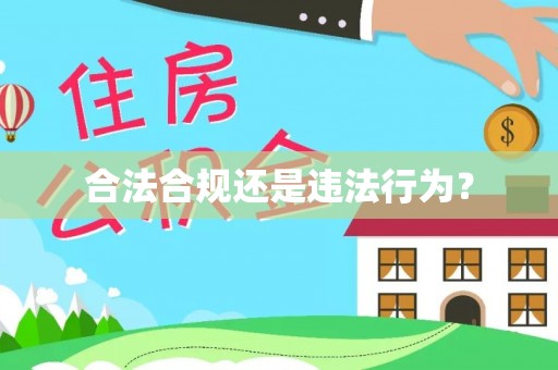 博罗合法合规还是违法行为？