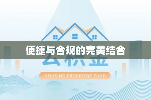 博罗便捷与合规的完美结合