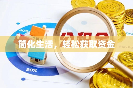 博罗简化生活，轻松获取资金