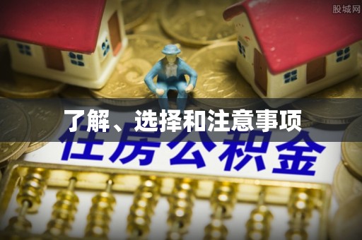 博罗了解、选择和注意事项