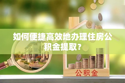 博罗如何便捷高效地办理住房公积金提取？