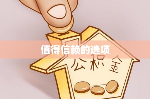 博罗值得信赖的选项