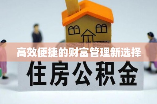 博罗高效便捷的财富管理新选择