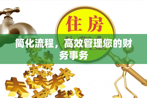 博罗简化流程，高效管理您的财务事务