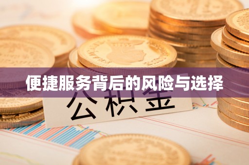 博罗便捷服务背后的风险与选择