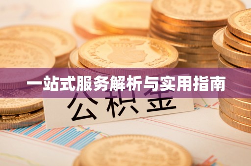博罗一站式服务解析与实用指南