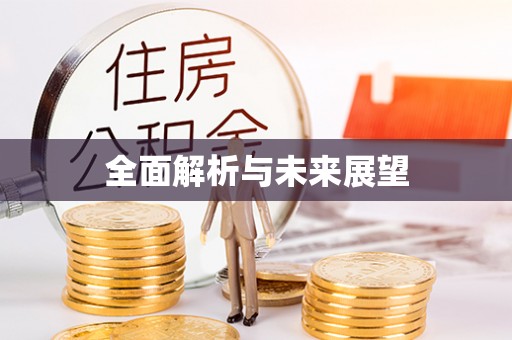 博罗全面解析与未来展望