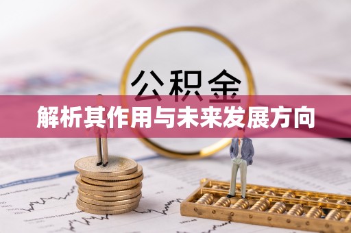 博罗解析其作用与未来发展方向
