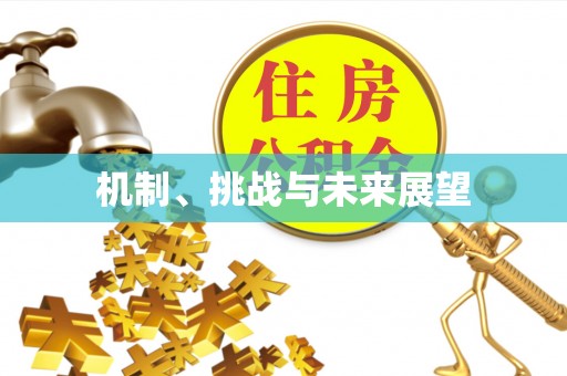 博罗机制、挑战与未来展望