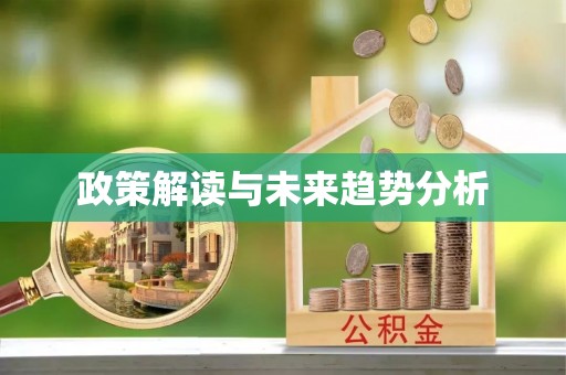 博罗政策解读与未来趋势分析