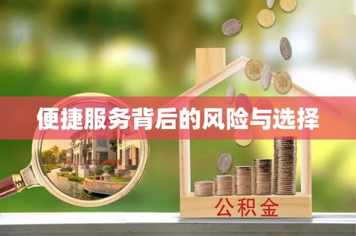 博罗便捷服务背后的风险与选择