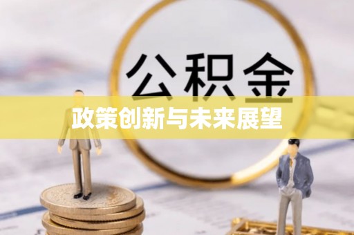博罗政策创新与未来展望