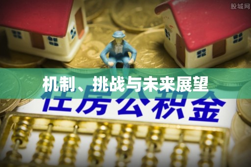 博罗机制、挑战与未来展望
