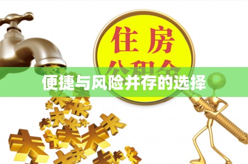 博罗便捷与风险并存的选择