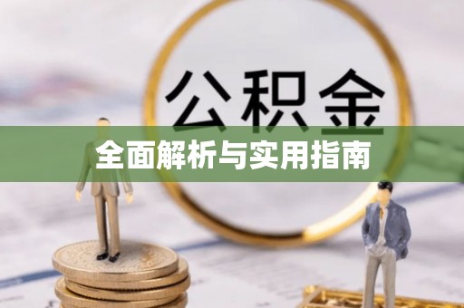博罗全面解析与实用指南