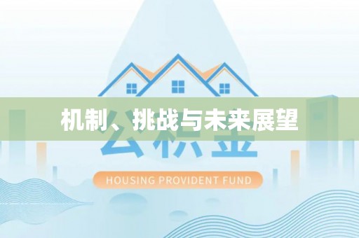 博罗机制、挑战与未来展望